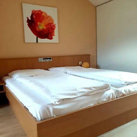 בית כפרי Ferienwohnung Typ A Rustikal Neukirchen (Lower Bavaria)